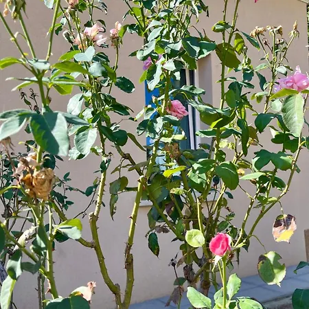 Σπίτι διακοπών The Tuscany Rose *