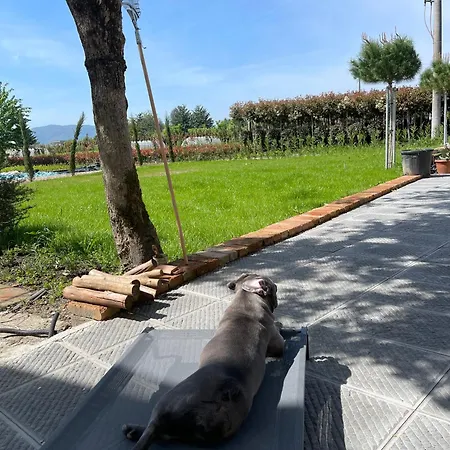 Casa vacanze The Tuscany Rose